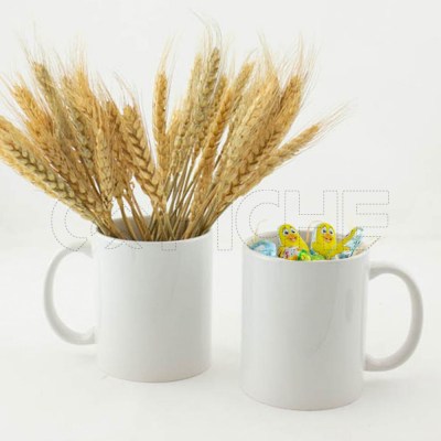 Ramas decoratrivas de Maíz