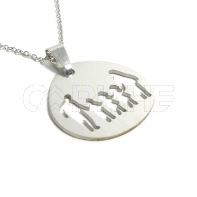 Collar en acero Familia 2F1M