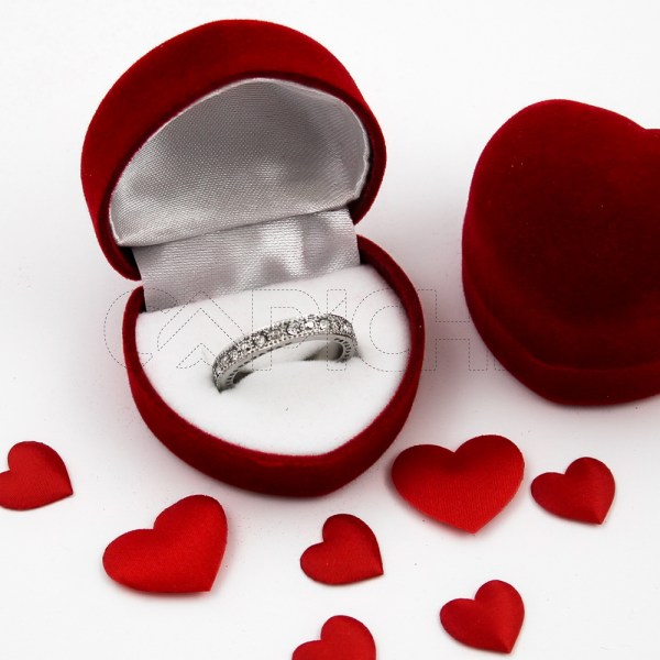 Anillo en acero Promice