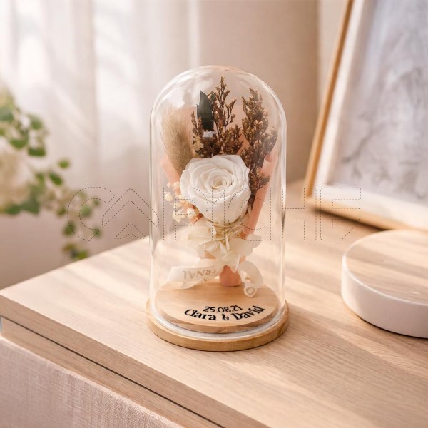 Rosado Preservada Nombres & Data