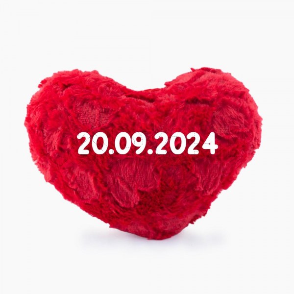 Corazón de peluche datas